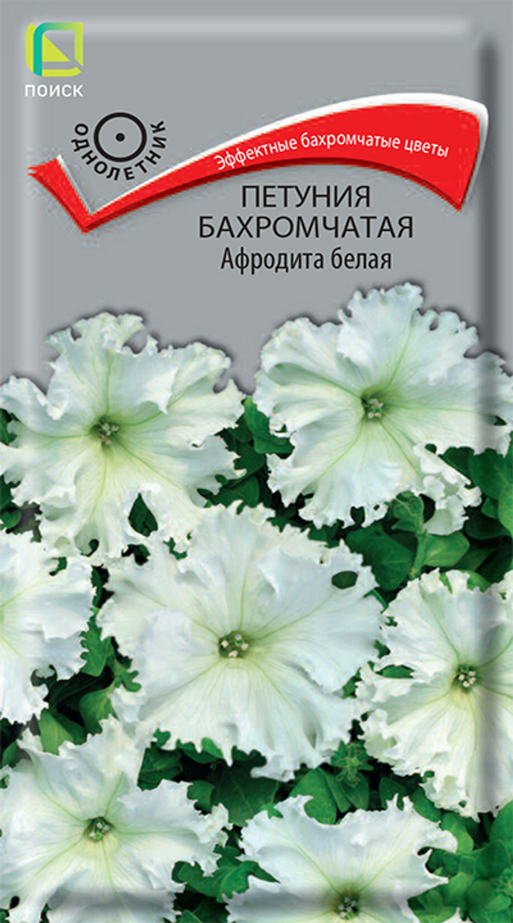 Петуния бахромчатая Афродита Белая
