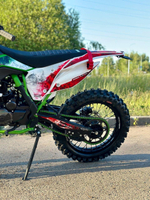 DARЕХ ALGA 300