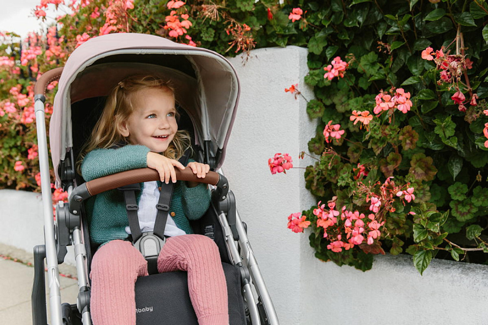 Прогулочная коляска UPPAbaby Cruz V2 ALICE