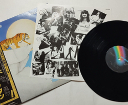 Винтажная виниловая пластинка LP Tygers Of Pan Tang Spellbound (Japan 1981) (Obi) Hellbound