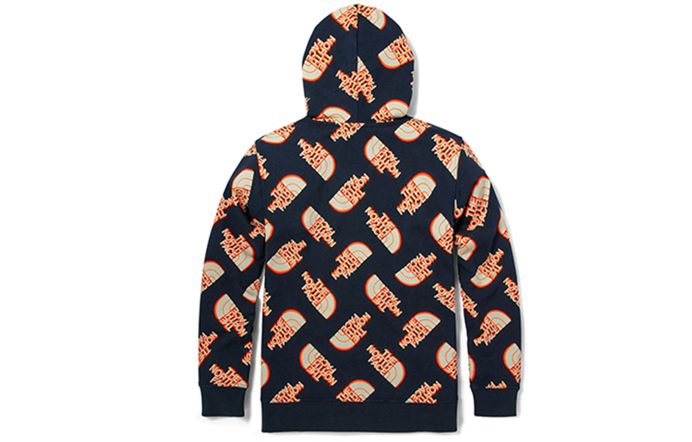 Худи THE NORTH FACE Vanlife Logo, NF0A5JW5-RG1