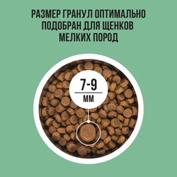 Сухой корм Bowl Wow для щенков мелких пород, с индейкой, рисом и шпинатом - 2 кг