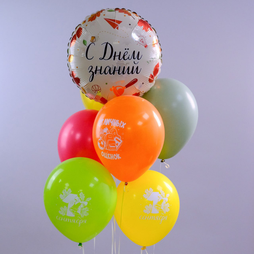 Купить Набор воздушных шаров "День знаний"