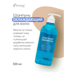 Охлаждающий шампунь с ментолом - Esthetic House CP-1 Head Spa Cool Mint Shampoo. 100 мл