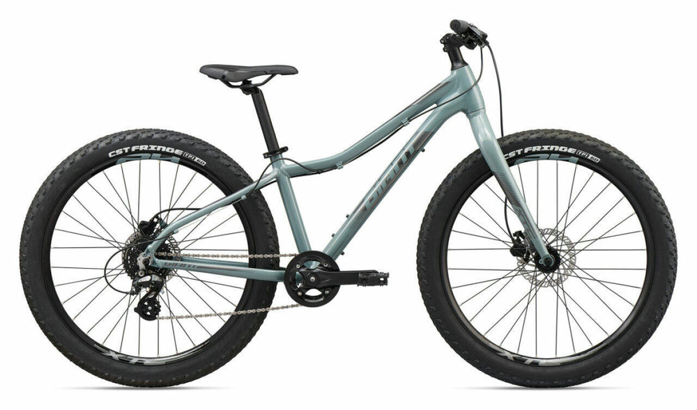 Подростковый велосипед Giant XTC Jr 26 + (2020)