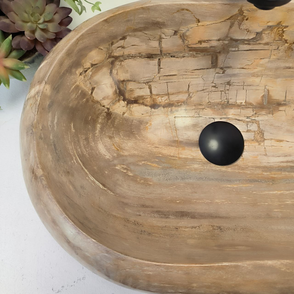 Раковина из окаменелого дерева Fossil Basin OD-02958 55*38*15 см