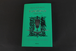 Гарри Поттер и Кубок Огня