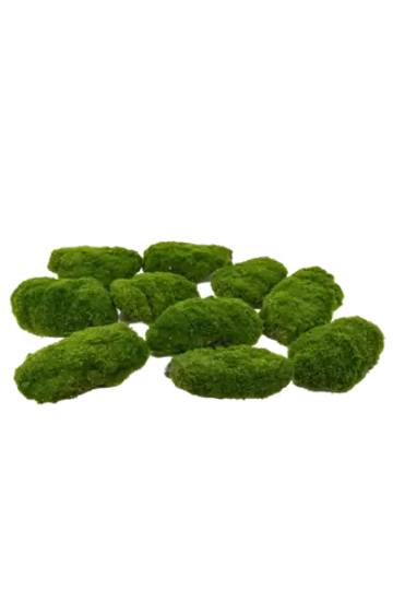 Кочки мха малые (набор из 10 шт)