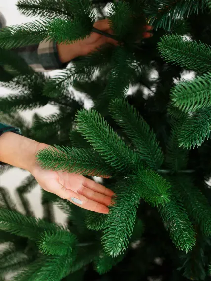 Интерьерная искусственная елка Европейская Премиум 7,5 м., ствольная, Литая хвоя+ПВХ, Green Trees (GT7,5EVR)