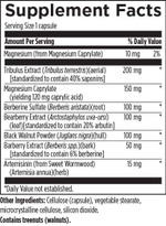 Designs For Health - Gi Microb-X 120 capsules