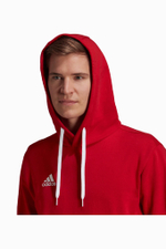 Кофта adidas Entrada 22 Sweat