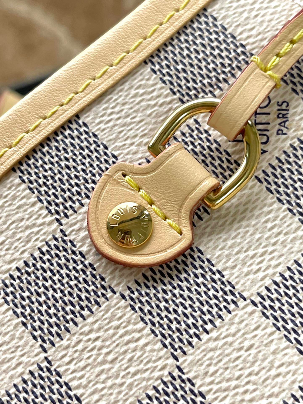 Louis Vuitton Neverfull PM