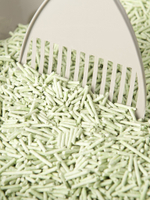 Pet-it комкующийся наполнитель для кошек Тофу Зеленый чай, 6 л