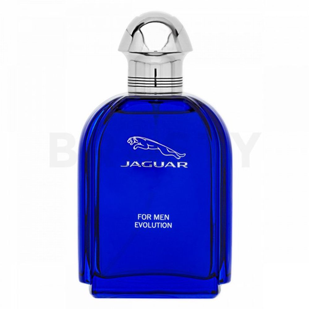 Jaguar for Men Evolution EDT M 100 ml