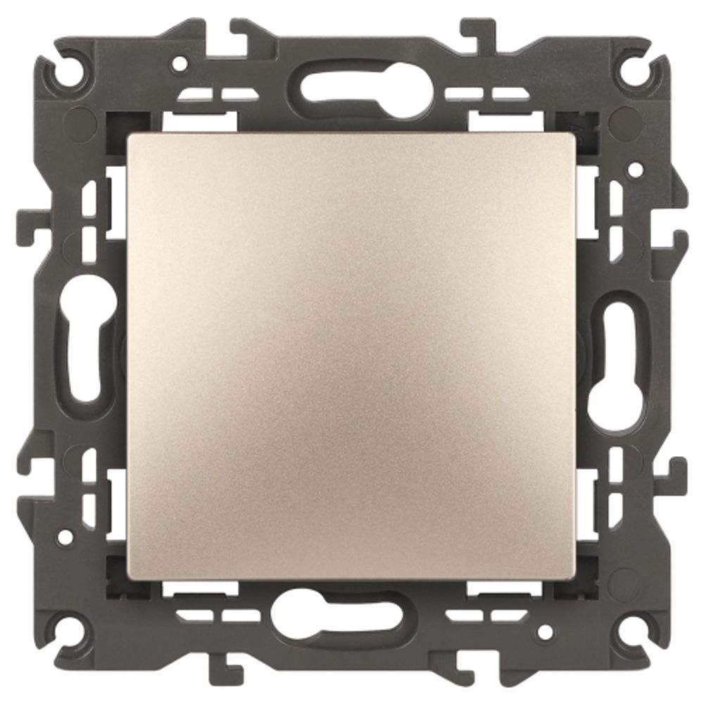 14-1101-04 ЭРА Выключатель, 10АХ-250В, IP20, Эра Elegance, шампань | Elegance Шампань