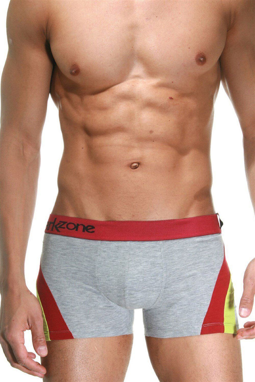 Серые трусы-боксеры с цветными вставками по бокам (Размер: XL) (Цвет: серый)