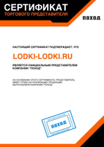 Поход 290TK серый + PARSUN T 3.6 BMS (комплект лодка + мотор)