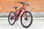 Велогибрид Eltreco XT 600 Limited edition