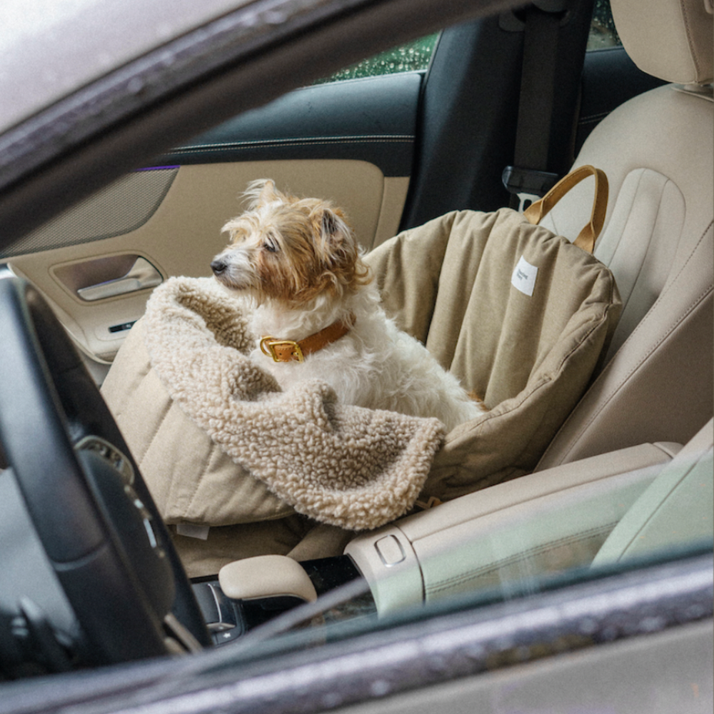 Автокресло - Пони HuntingPony