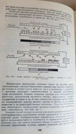 "Общая фотография". К.В.Чибисов