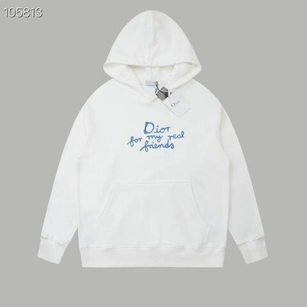 Худи Christian Dior