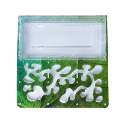 Antrum XL зеленый + колония Messor Structor