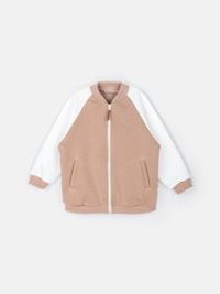 предметное