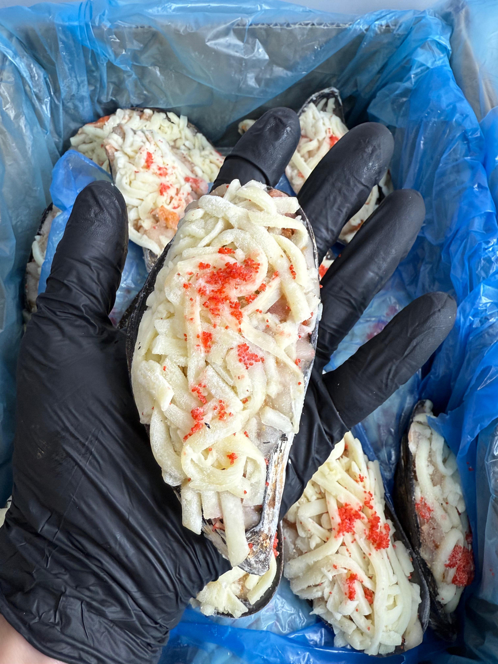 Мидия Грея с крабом на створке