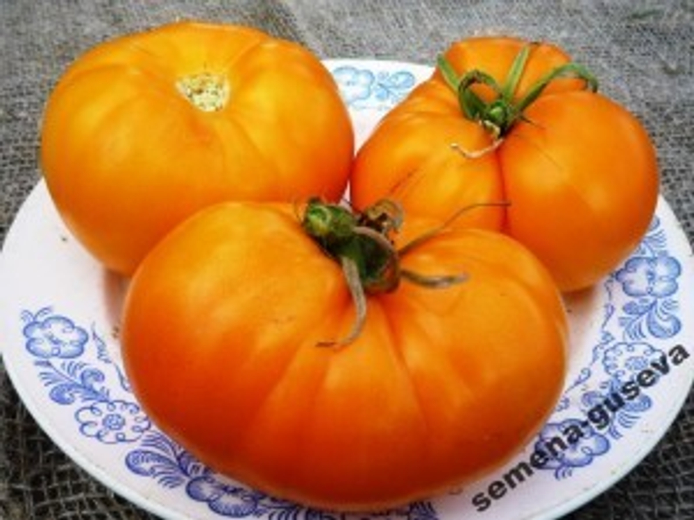 Помидоры Big Orange