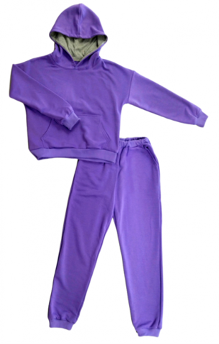 Спортивный костюм 2602/5 фиолетовый, без начеса
