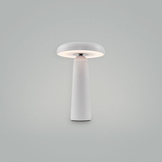 Аккумуляторный светильник Freya FR6109TL-L4W