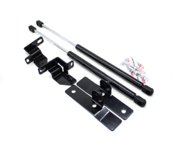 Упор (амортизатор) капота для Nissan Teana J32 (2008-2014) Autoinnovation.01-02