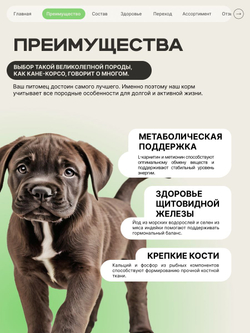Корм сухой для щенков породы Кане корсо, премиум полнорационный комплекс, с ягненком, 12 кг, QUATTRO
