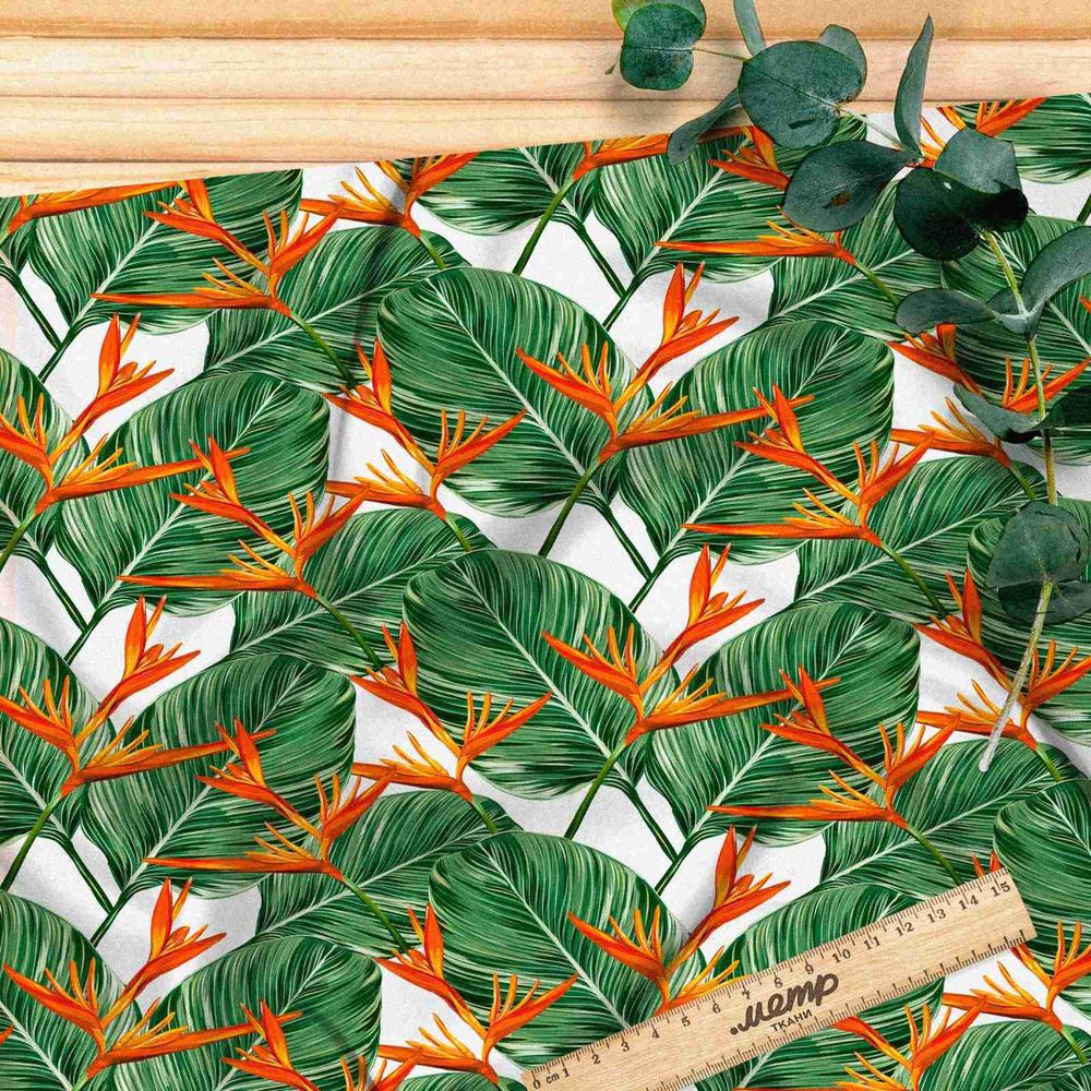 Ткань мембрана цветок стрелиция