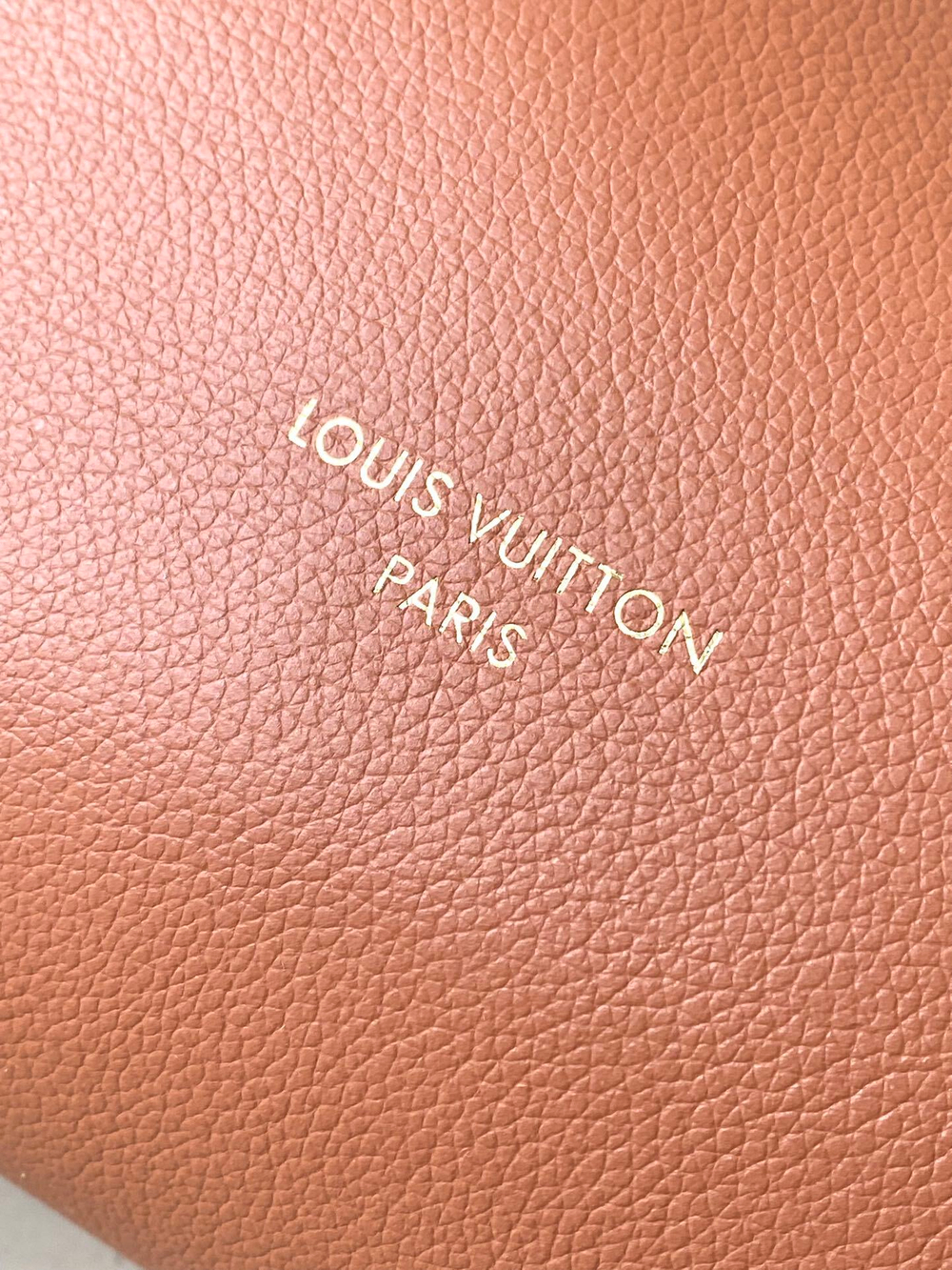 Louis Vuitton Low Key Hobo MM