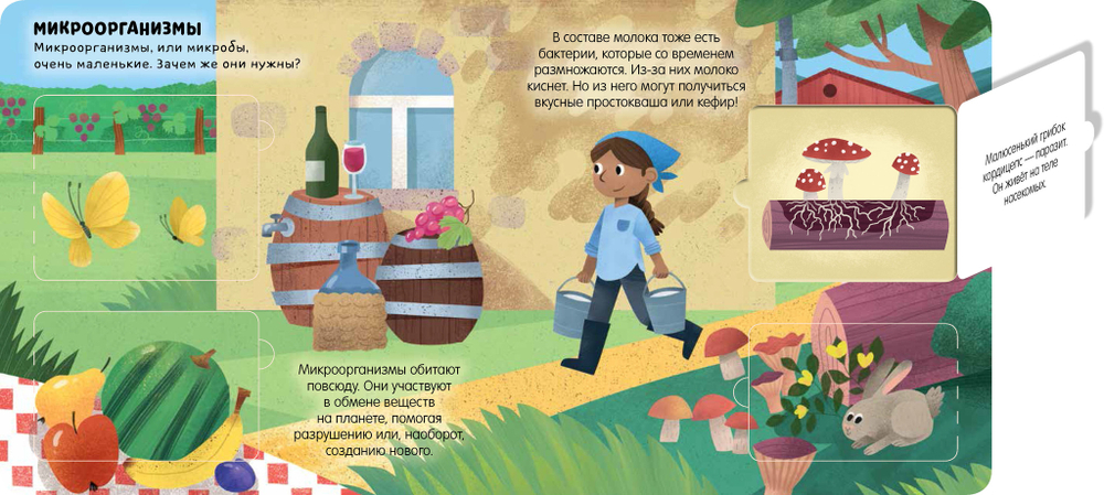 Маленькие почемучки (книжки с клапанами). Про природу и погоду