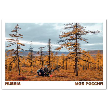 Сбор ягод среди лиственниц. Окрестности города Билибино, Чукотка