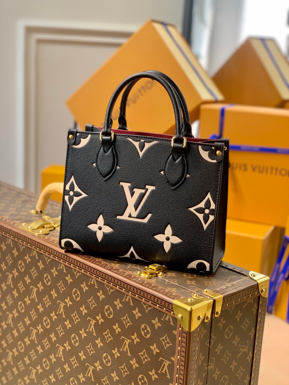 Louis Vuitton OnTheGo PM