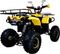 Квадроцикл AVANTIS Patriot M