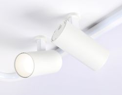 Ambrella Потолочный светодиодный светильник с пультом управления LineTech FL5114