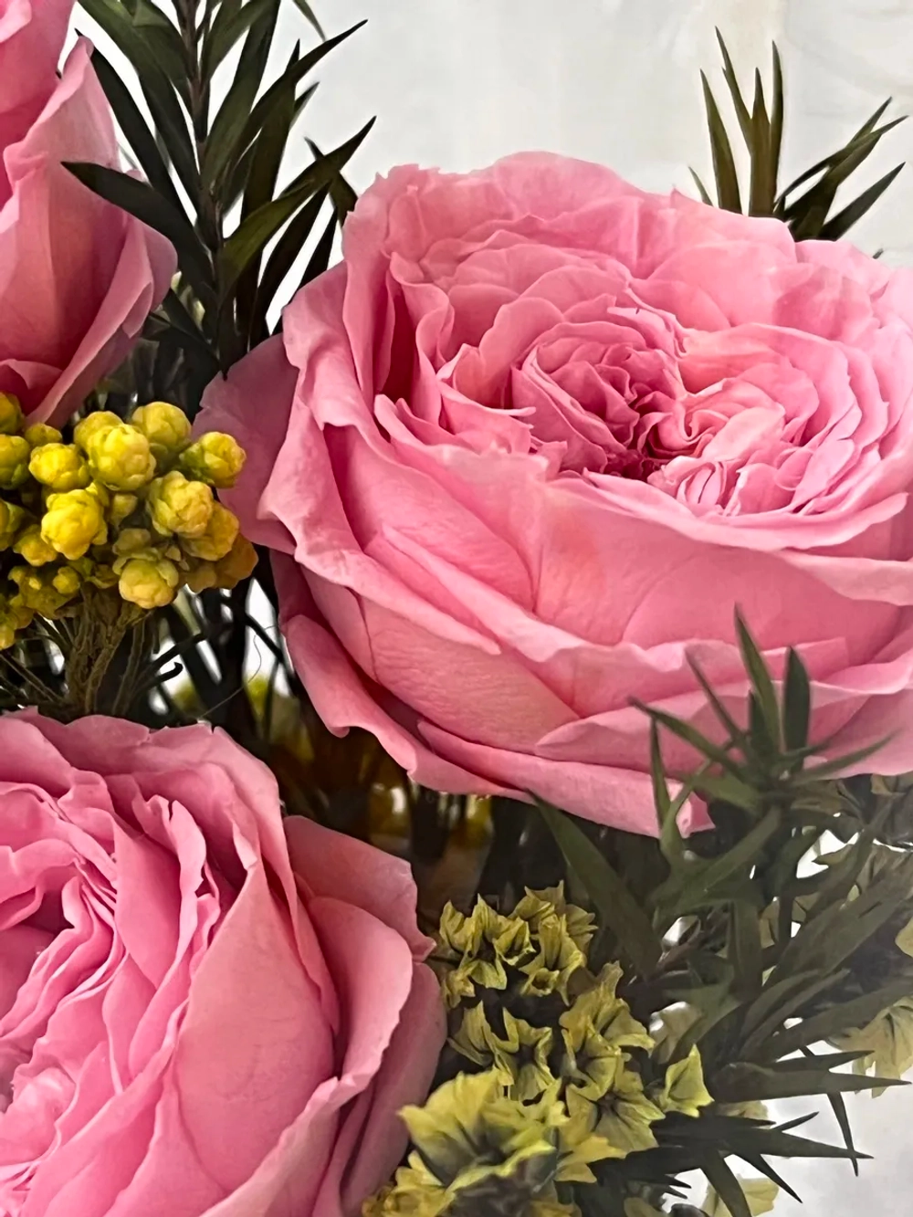 натуральные пионы в стекле, вакуум*