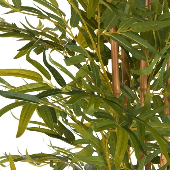 Бамбук высота 175 см