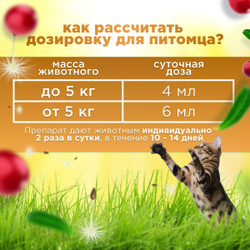 Кормовая добавка для нормализации и улучшения мочевыделительной системы и профилактики цестита, суспензия для кошек Стоп-цистит БИО (Apicenna), 30мл