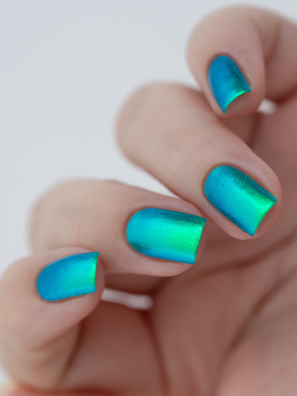 Влюбленная Жаба