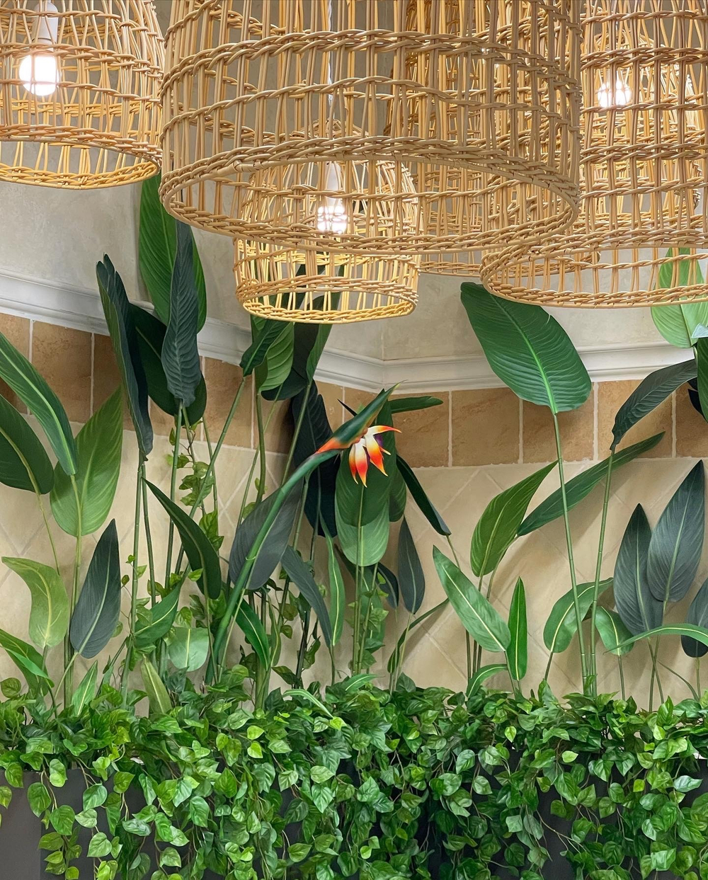 Озеленение искусственными стрелициями и ампельными растениями кафе в супермаркете "Табрис"  г.Краснодар