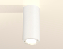 Накладной поворотный светильник Ambrella Light Techno XS7442001 (C7442, N7001)