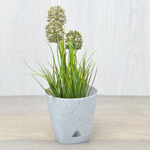 Горшок цветочный Amsterdam 1,35л D140мм, светлый камень