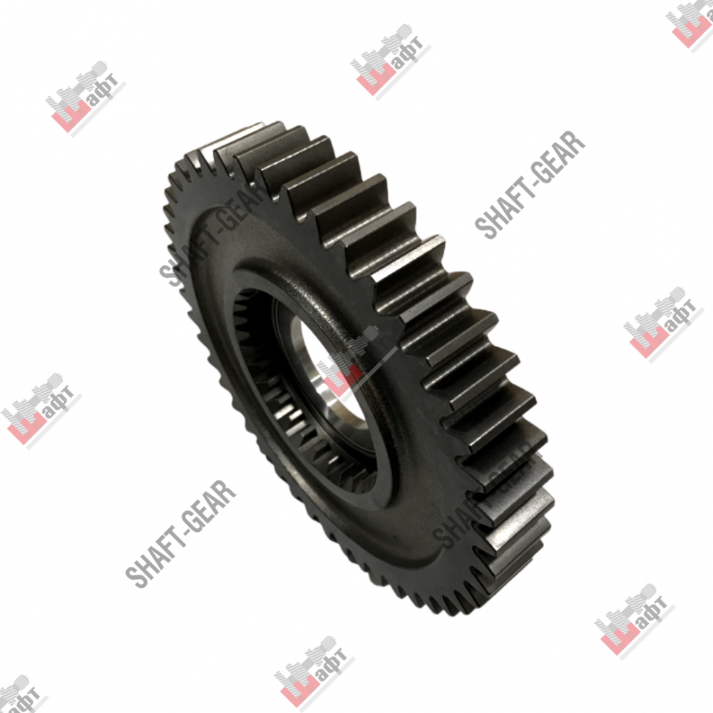 12JS200T-1701111 - Шестерня 1 передачи вторичного вала на КПП