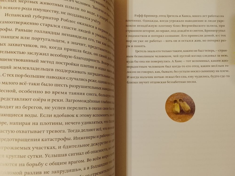 Ханс Бринкер или Серебряные коньки