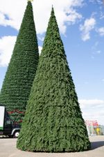 Уличная елка каркасная "Русская" (пвх) от 4 до 30 м